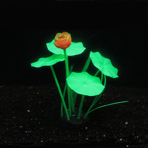 HZ017 荷花，橙色花头配荷叶