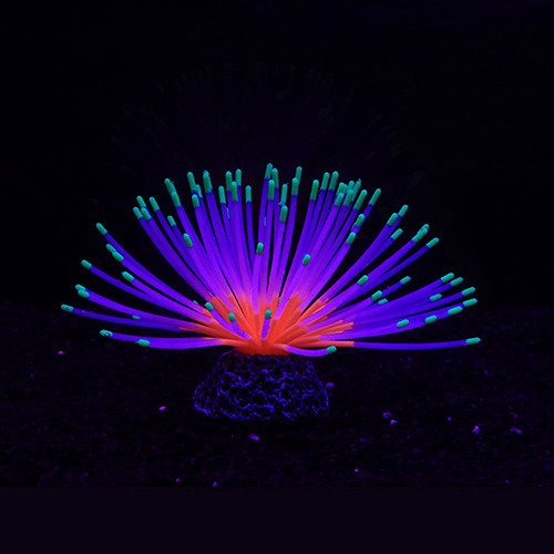 SH038 Sea Urchin Orb