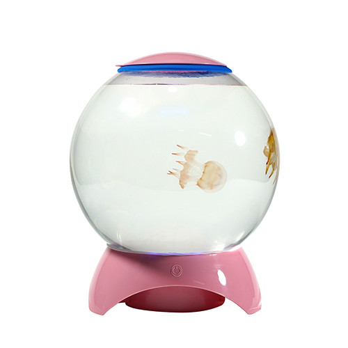 R200 Spherical Aquarium