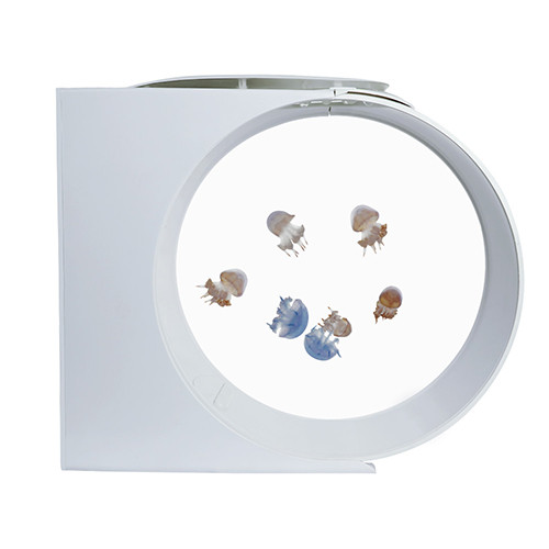 R450 25 升智能炫彩Jellyfish Tanks