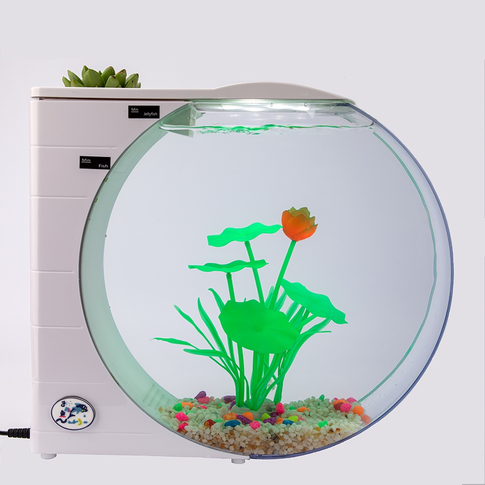 水母缸实拍：荧光荷叶荷花造景